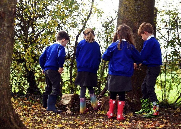 Outdoor Learning Image